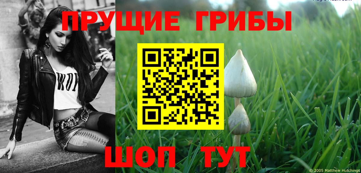 Псилоцибиновые грибы Magic Shrooms Лениногорск