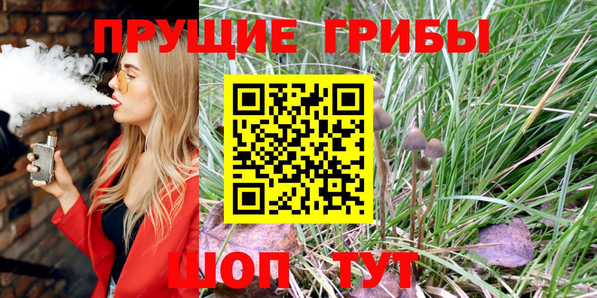 Галлюциногенные грибы мухоморы  Вход с VPN  Лениногорск  Псилоцибиновые грибы мицелий 